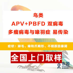 鸟禽双病毒喙羽症多瘤病 APV PBFD 病毒检测拔毛 pcr 准确率 99%