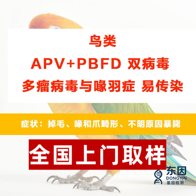 鸟禽双病毒喙羽症多瘤病 APV PBFD 病毒检测拔毛 pcr 准确率 99%