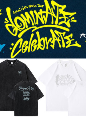 StrayKids世巡演唱会dominATE celebrATE快闪周边衣服同款短袖T恤