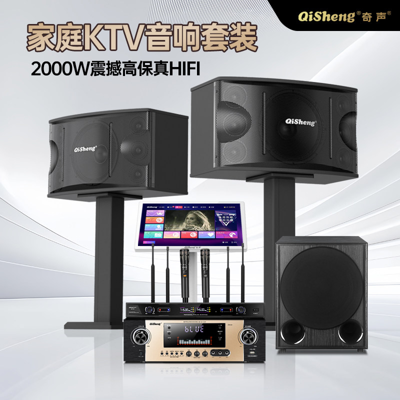 奇声T10寸家庭KTV音响套装全套卡拉OK功放会议室专业12寸音箱唱歌