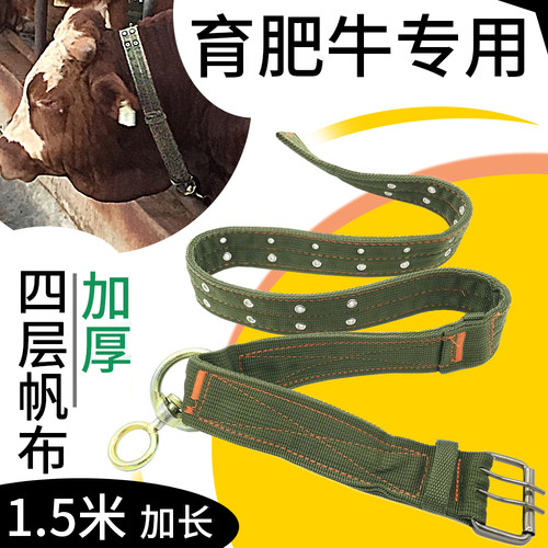 绳子套拴牛养牛场项圈