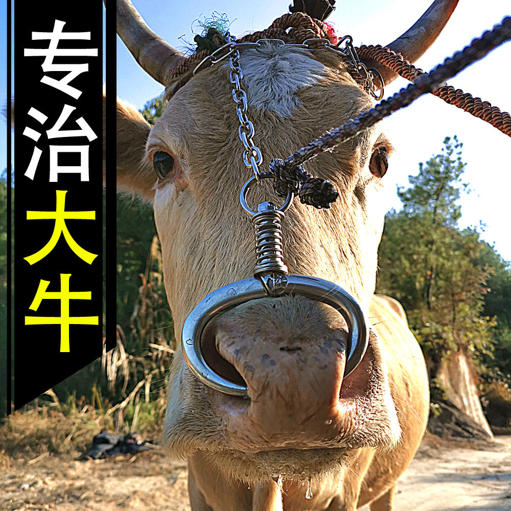 牛鼻环牛鼻圈新款不锈钢穿孔钳养牛场育肥牛牛鼻子牵引扣牛鼻钳子