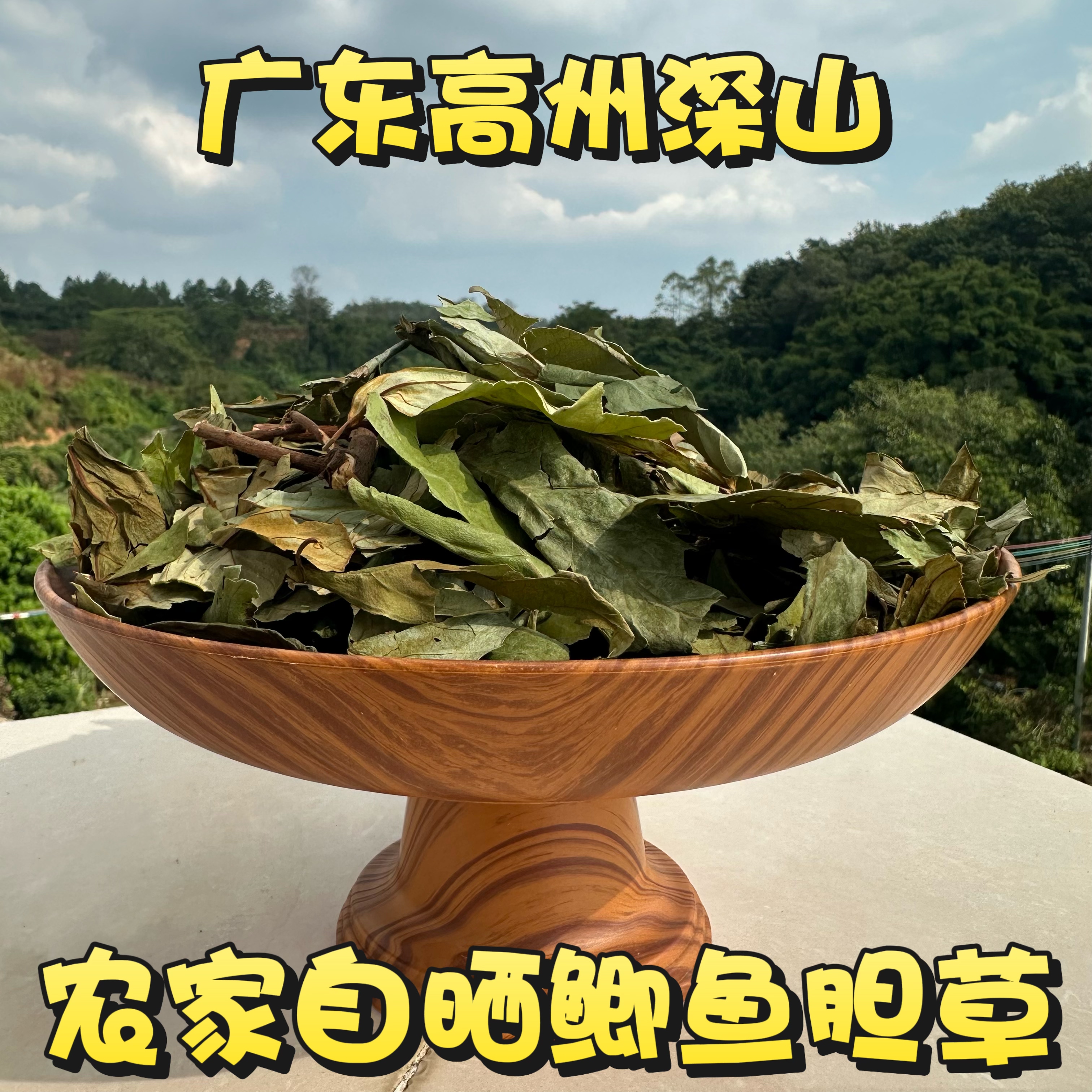 深山农家自晒鲫鱼胆广东新鲜中草药材空心花冷饭果岑心花干品包邮