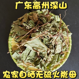 火炭母草中药材火炭星 赤地利新鲜火炭藤 干白饭藤信饭藤广东茂名