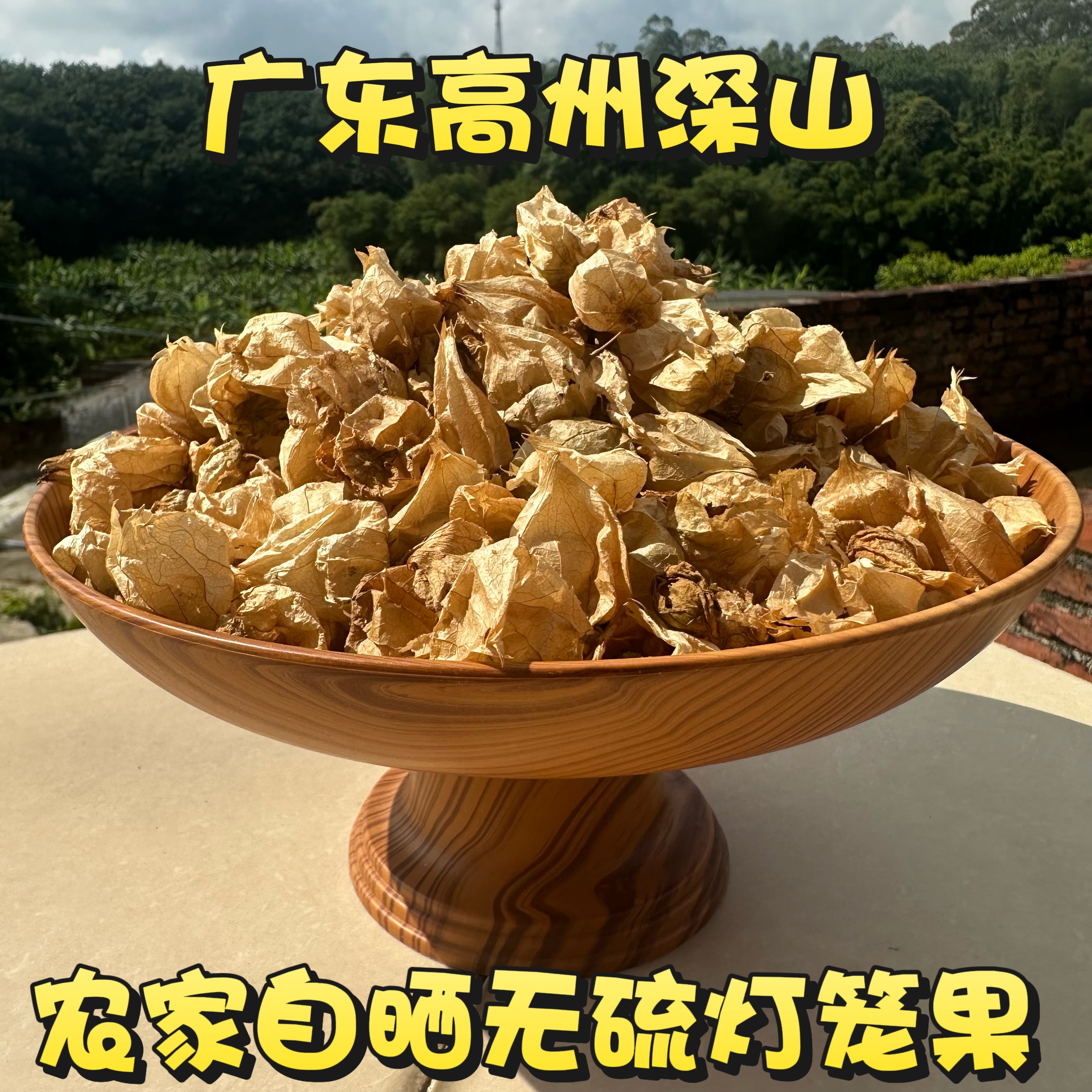 干灯笼果干灯笼草广东茂名灯笼果姑娘草姑娘果菇凉果打卜草黄姑娘