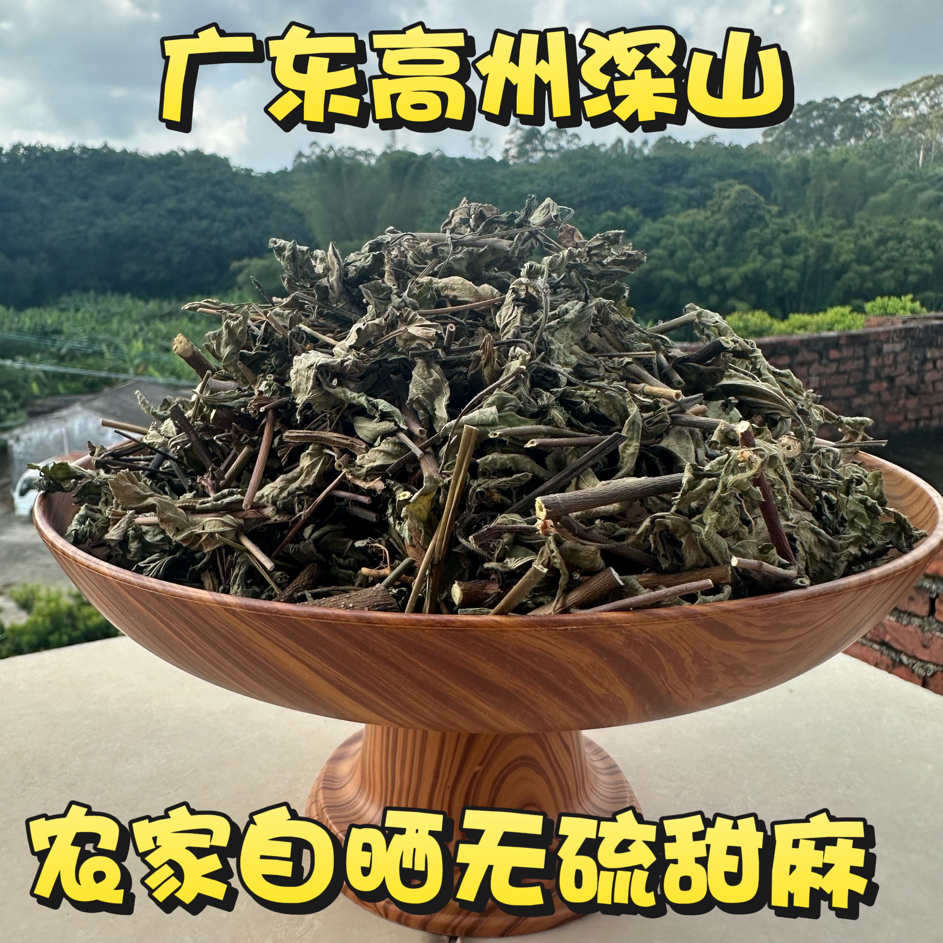 甜麻干货广东茂名乡村原生青草农家自晒绳黄麻带根针筒草整株包邮