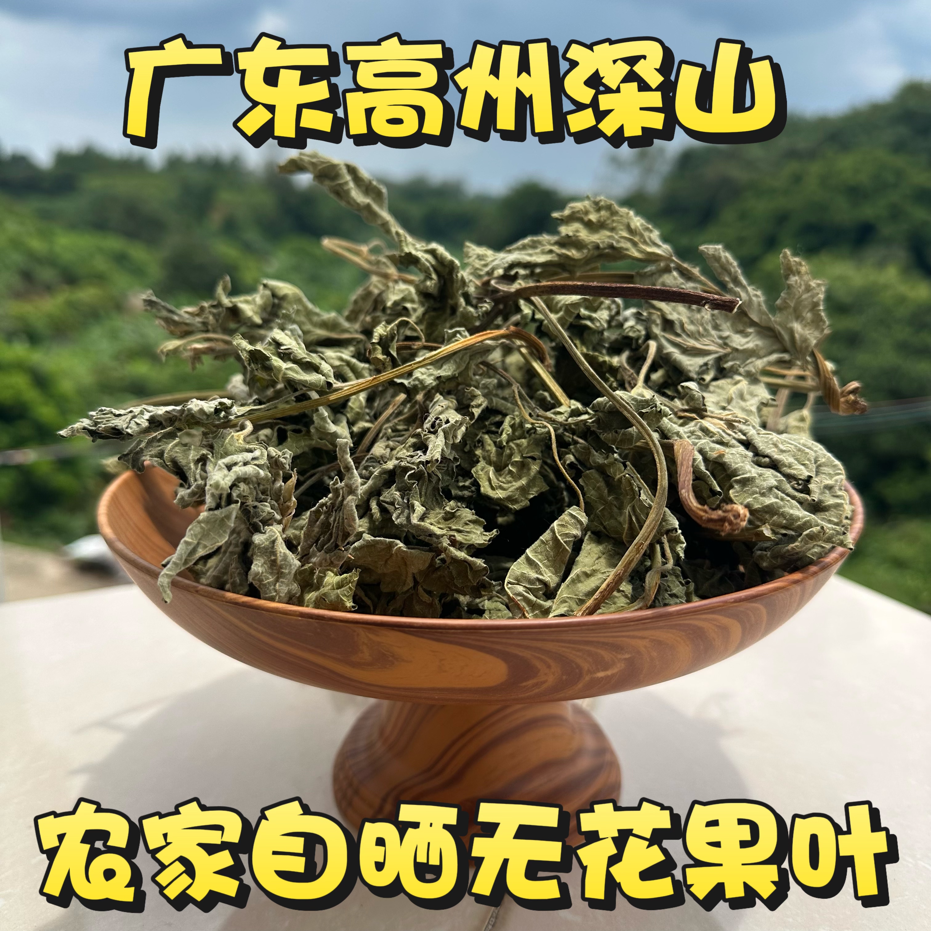 广东无花果叶 茂名农家新晒无花果叶子 干品新鲜现采无花果叶包邮