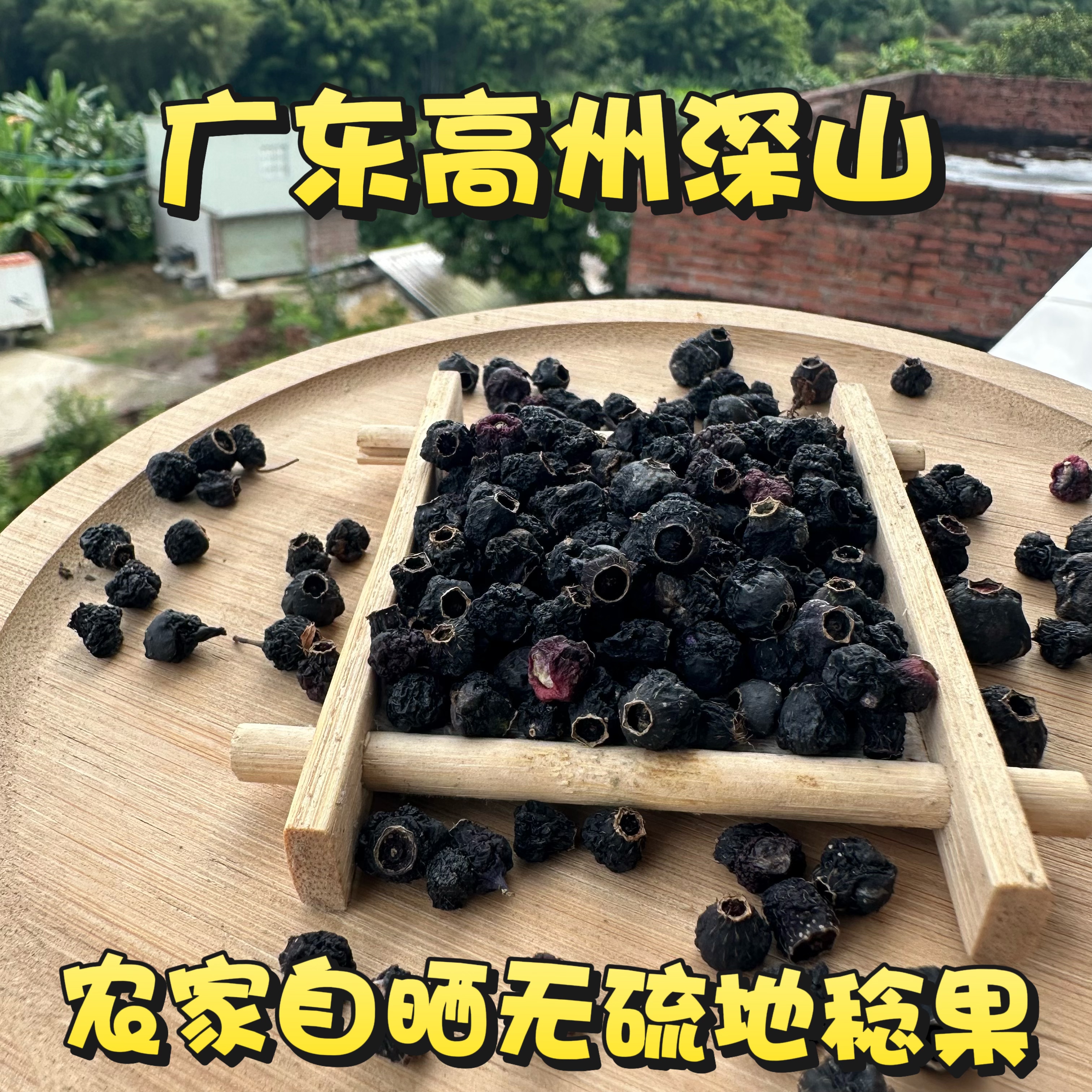 地稔果地菍果地念果广东茂名农家地埝果实铺地锦果野果埔梨果干货