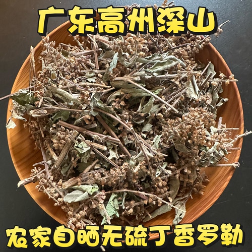 丁香罗勒现摘现发青香罗勒广东茂名新晒毛叶丁香干品臭草茎叶包邮