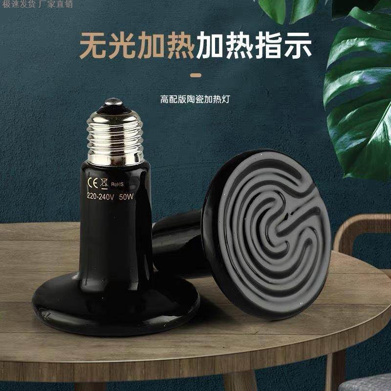 爬虫箱陶瓷加热灯乌龟蜥蜴守宫蛇冬天保温保暖220V爬行动物宠物,宠物/宠物食品及用品,爬宠灯具,淘宝优惠券,粉丝福利购,淘宝优惠卷