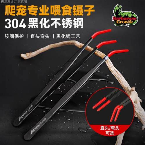 爬宠喂食镊子角蛙守宫蜥蜴昆虫