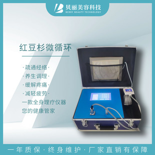 新款手提台式红豆杉微循环仪理疗能量红豆杉套盒经络疏通养生仪器