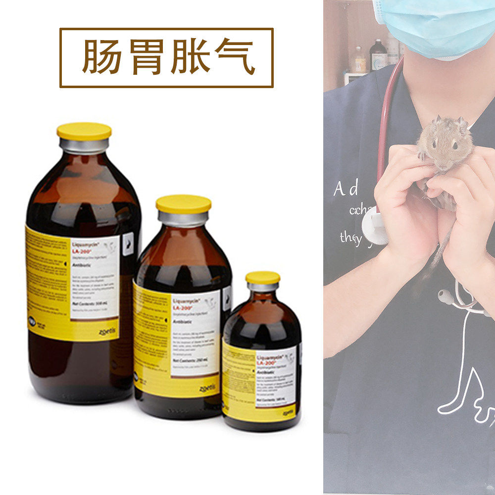 西甲硅油胀气肠胃便秘积食狗猫兔龙猫豚鼠仓鼠侏儒金丝熊