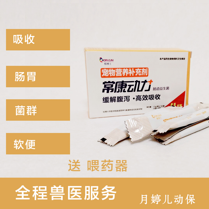 康动力肠道有菌兔子土拨鼠花枝豚鼠龙猫用仓鼠肠胃