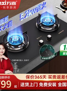 万喜燃气灶JZT/Y-XD11煤气灶双灶家用天然气炉灶猛火液化气双灶