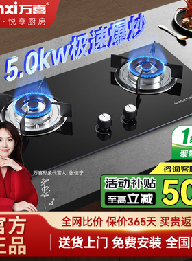 万喜燃气灶煤气灶JZT-758B3家用厨房大火力双灶大面板台式入式