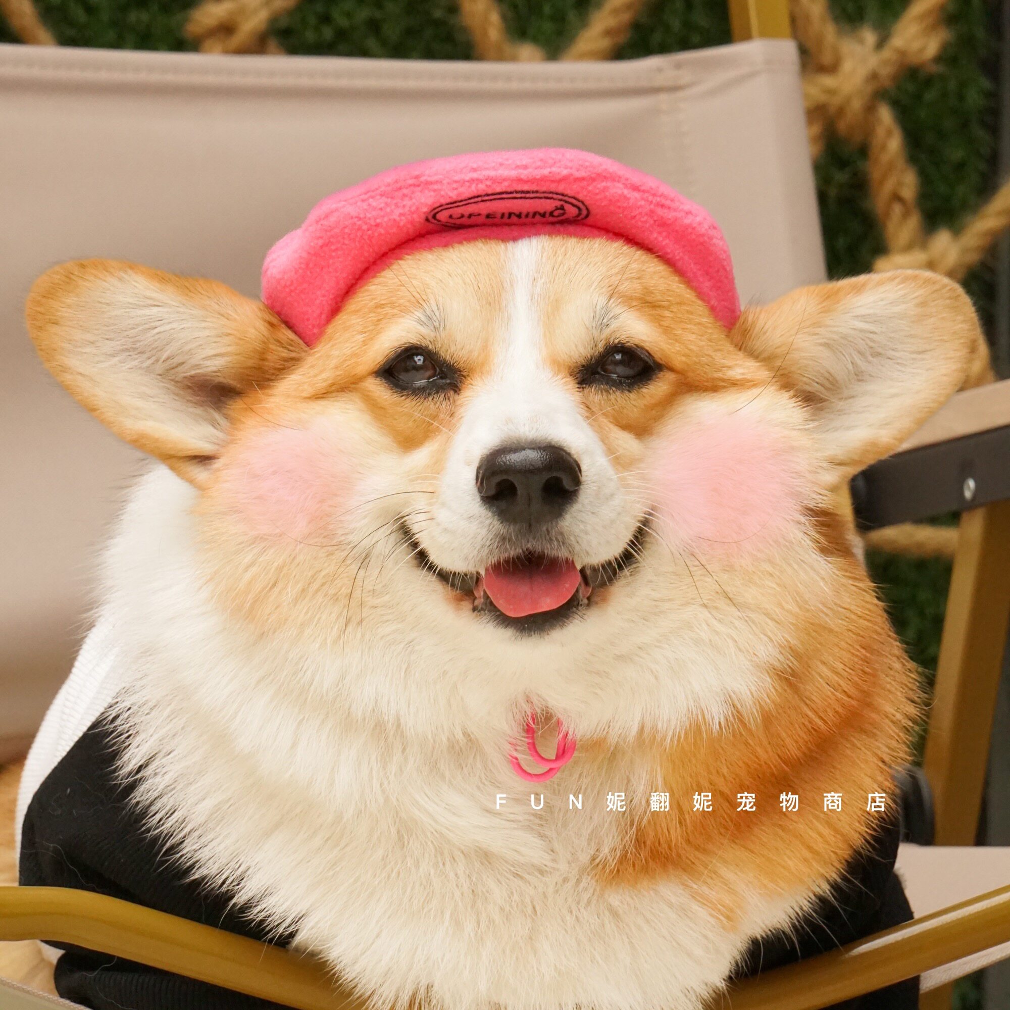 fun妮翻妮宠物帽子柯基帽子贝雷帽凹造型写真影楼摄影道具头饰