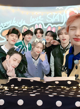 Stray Kids周边挂布明星组合同款背景布学生房间寝室装饰装扮墙布