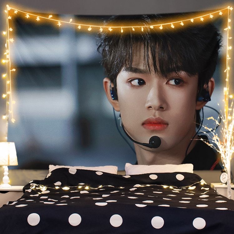 TF家族张极背景挂布粉丝周边生日礼物学生房间卧室墙面装饰布定制