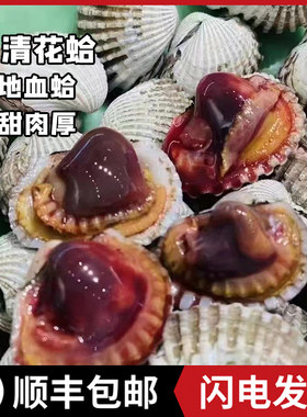 温州乐清血蛤本地新鲜花蛤血哈鲜甜肉厚美味海鲜活蛤银蚶泥蚶顺丰