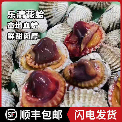 温州乐清血蛤本地新鲜花蛤血哈鲜甜肉厚美味海鲜活蛤银蚶泥蚶顺丰