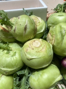 湖南本地农家自种甘蓝橄榄球丕蓝球菜菜头芥蓝头