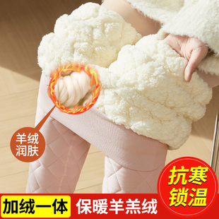 羊毛保暖裤 秋裤 女冬内穿加绒东北棉裤 毛裤 特厚高腰大码 加厚打底裤