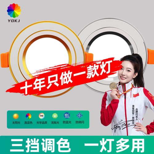 好物优选筒灯客厅+店铺十年老店