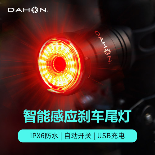 Dahon/大行智能感应刹车尾灯