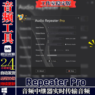 Pro Repeater 音频中继器实时传输音频 Audio CrownSoft