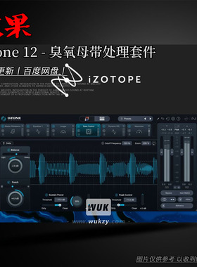 臭氧12代AI驱动一站式母带处理插件丨iZotope Ozone 12 v12.1.0