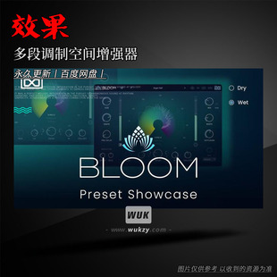 13个UVI插件合集 Bloom\Opal\Thorus\Plate\Relayer\SparkVerb