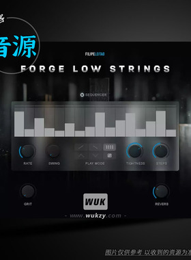 KTK Filipe Leitao Forge Low Strings（深沉弦乐音源）