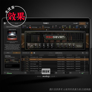 扩展IK Multimedia RedSeven Hybrid100（ToneX签名高增益箱头）
