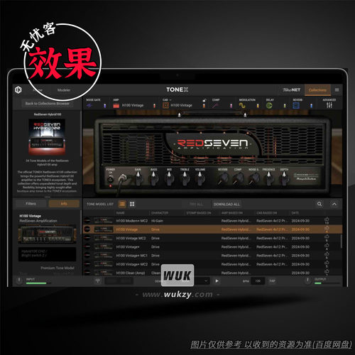 ToneX签名高增益箱头扩展
