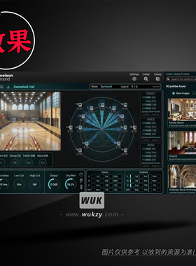 Accentize Chameleon Surround v1.1.3（AI智能环绕声房间混响）