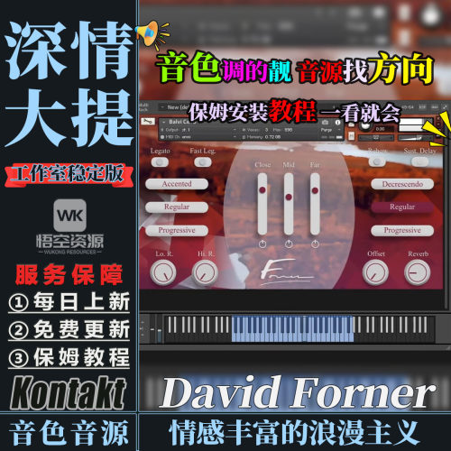 情感丰富的浪漫主义大提琴