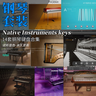 Native Instruments keys 14个钢琴合集Noire Claire Alicia keys