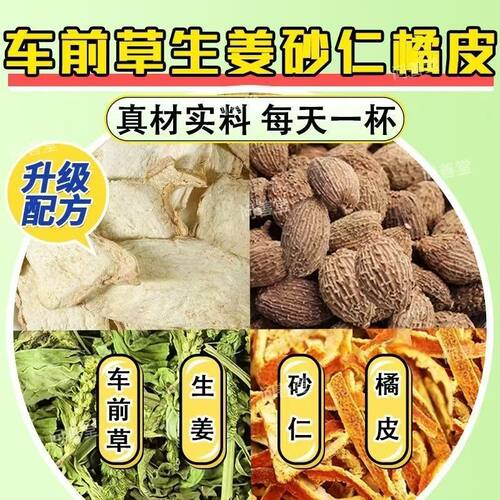 车前草生姜橘皮砂仁组合茶包泡水