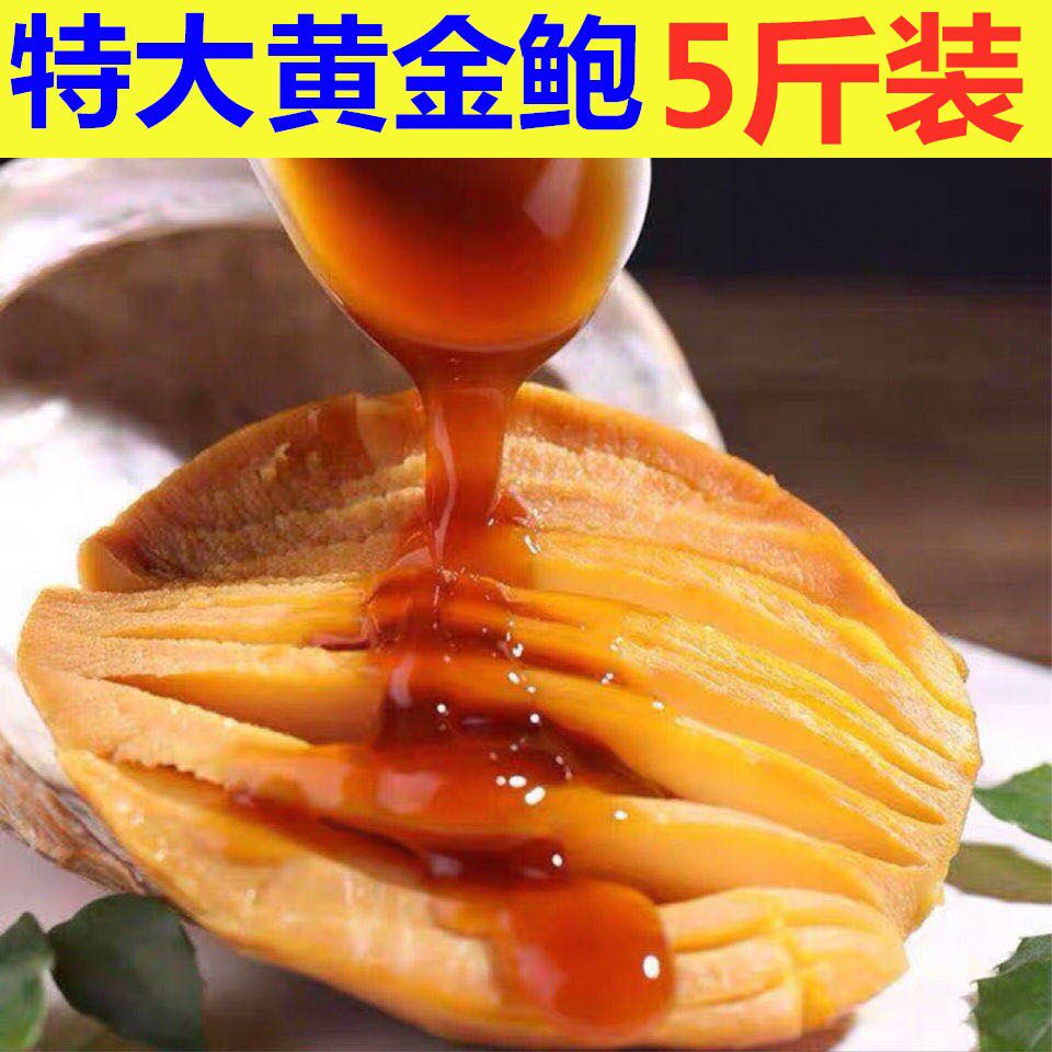 黄金鲍鱼五斤无壳大澳鲍肉螺肉鲍螺海鲜冷冻新鲜水产纯肉