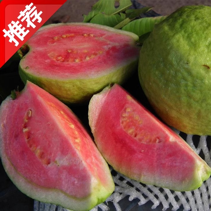 9年老店台湾高雄燕巢脆甜芭乐