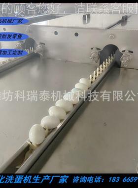 瑞生泰双排洗蛋蛋机 鸭蛋科、鸡清洗机产ZOB厂家 皮蛋清洗线