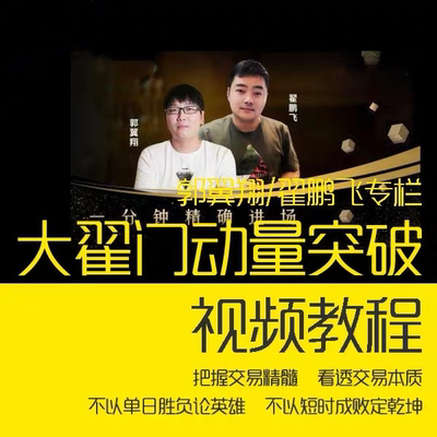 郭翼翔期货培训视频 翟鹏飞大翟门动量突破 完整版