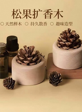松果扩香木家用卧室扩香器风油精花露水无火香薰桌面摆件车载精油