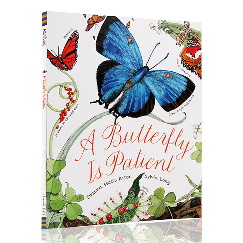 美丽成长生命科普绘本系列 蝴蝶如此耐心 英文原版绘本 A Butterfly Is Patient 儿童启蒙认知英语图画书 科普百科绘本 平装大开