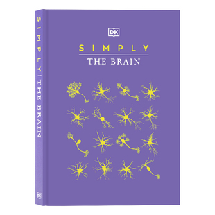 大脑 涵盖90多个关键概念 Simply 精装 全彩科普图解百科读物 Brain 英文原版 The 运作指南 DK百科 青少年读物 大脑简释