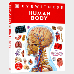 Eyewitness Human Body DK出品 精装 身体认知指南青少年儿童英语科普百科读物 大开 目击者系列人体奥秘英文原版