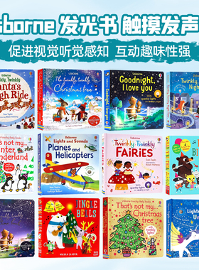 Usborne 发光书 触摸发声书 Lights and Sounds 英文原版绘本 纸板洞洞触摸书低幼启蒙认知 Sam Taplin 亲子互动