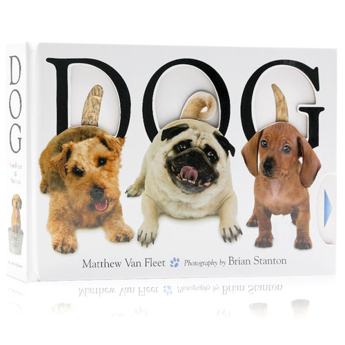 狗 英文原版 Dog 动物趣味启蒙认知大开本纸板触摸操作书Matthew Van Fleet儿童认知玩具书启蒙认识精装