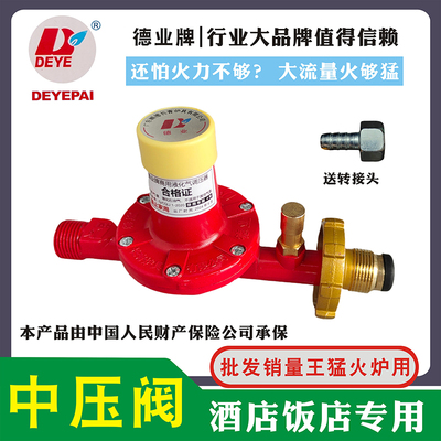 德业中压阀高压阀调压器猛火炉用